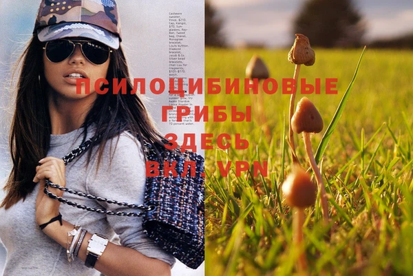 ешки Абаза